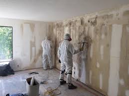 Best Mold Damage Restoration  in Clayton, CA